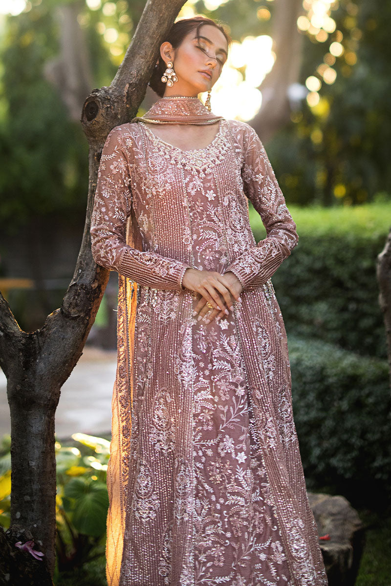 Mushq | Roohi Luxury Collection | Vaniya